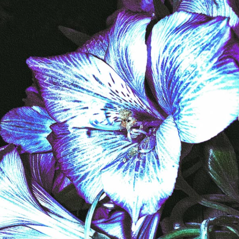 Capture d’écran 2025-09-12 150417